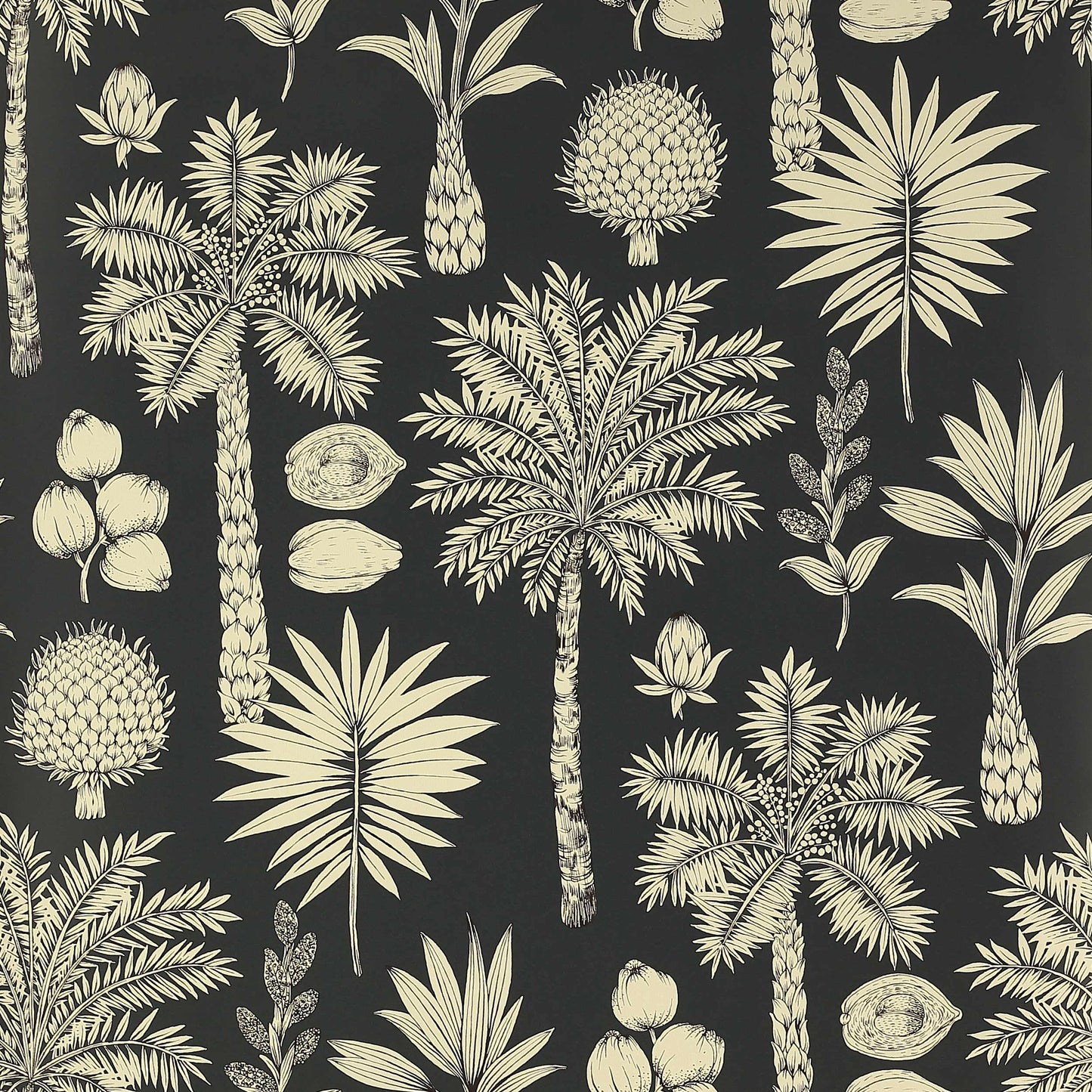 Cote d'Azur Wallpaper - Black 