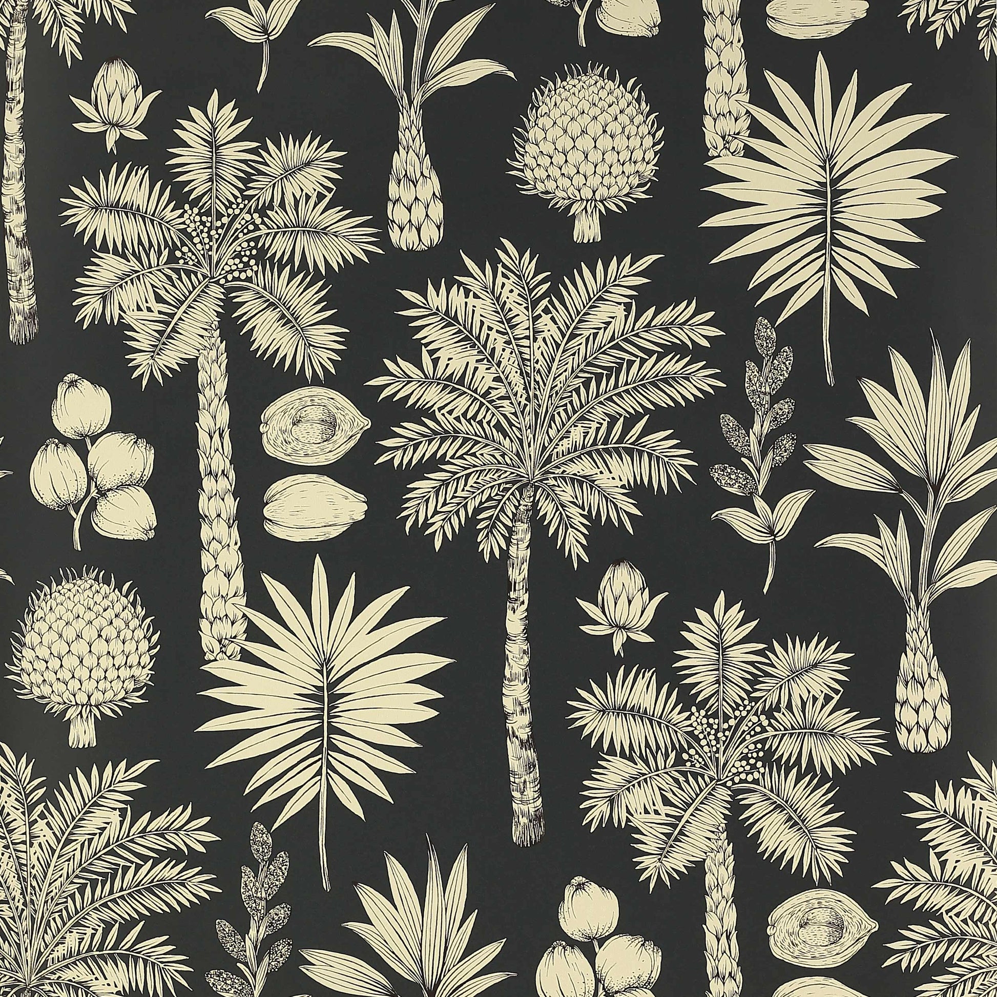 Cote d'Azur Wallpaper - Black 
