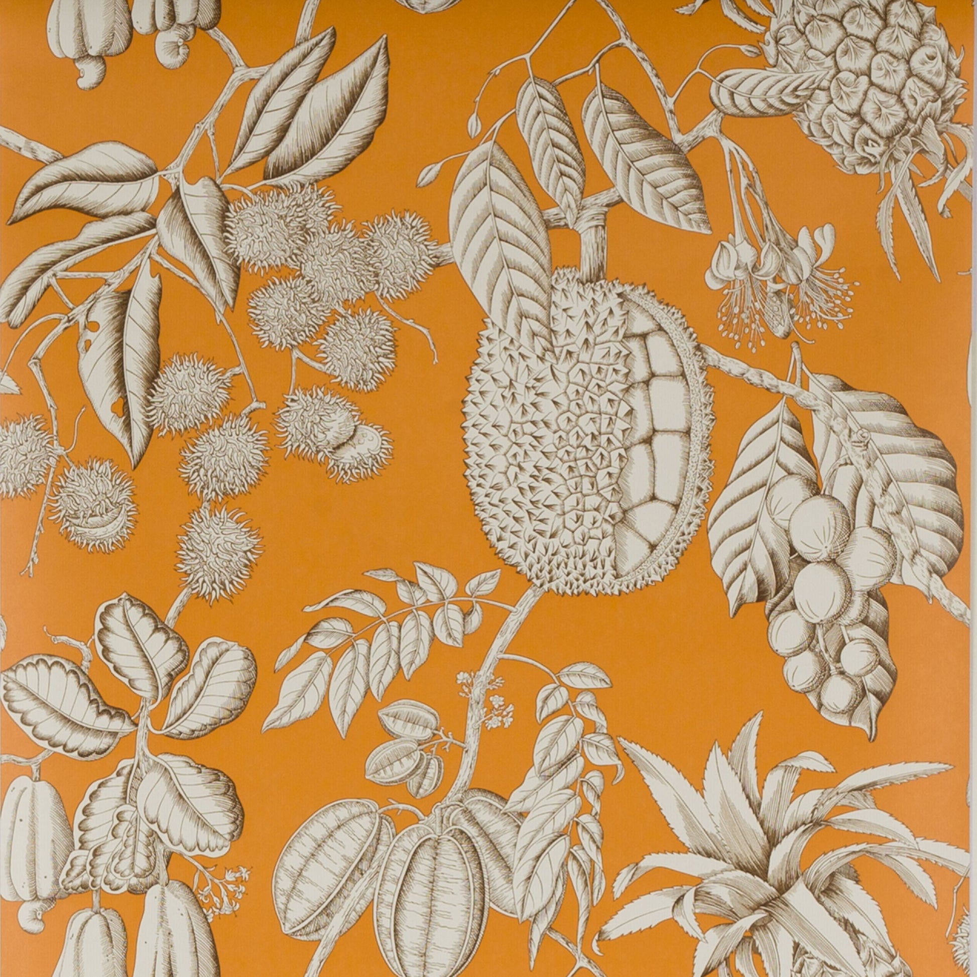 Balangan Wallpaper - Orange