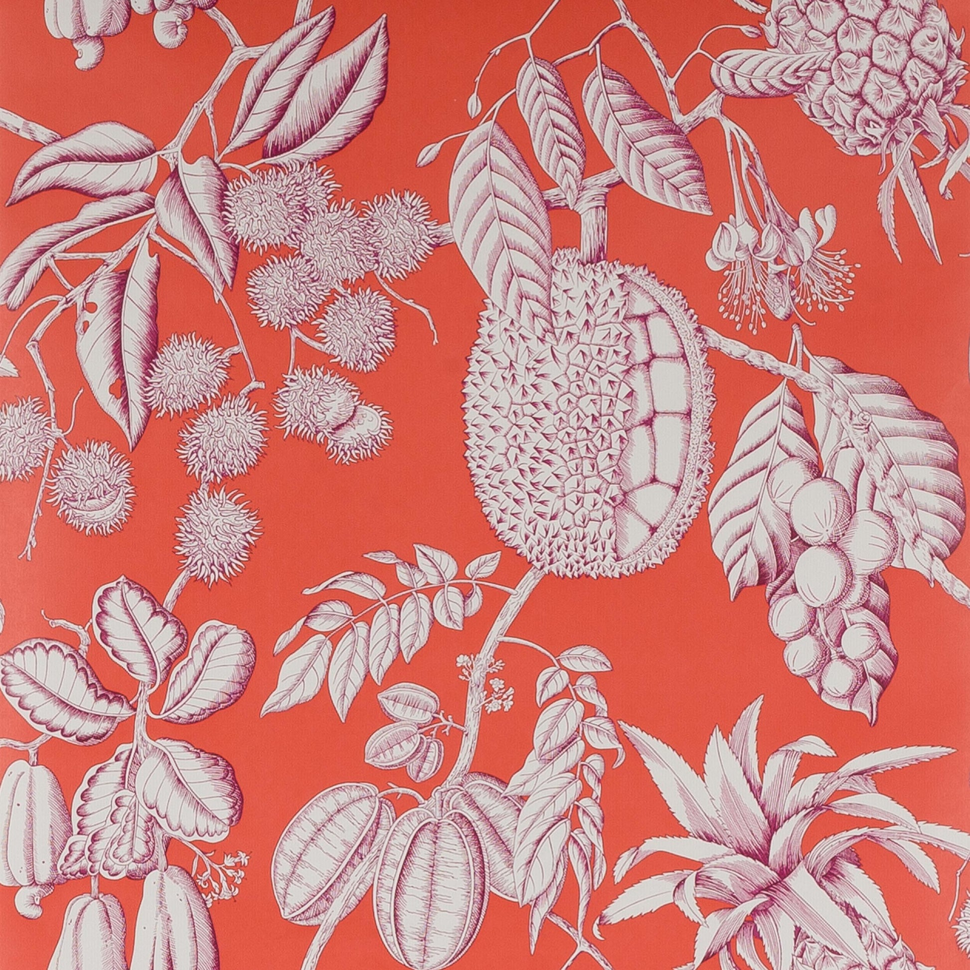 Balangan Wallpaper - Red