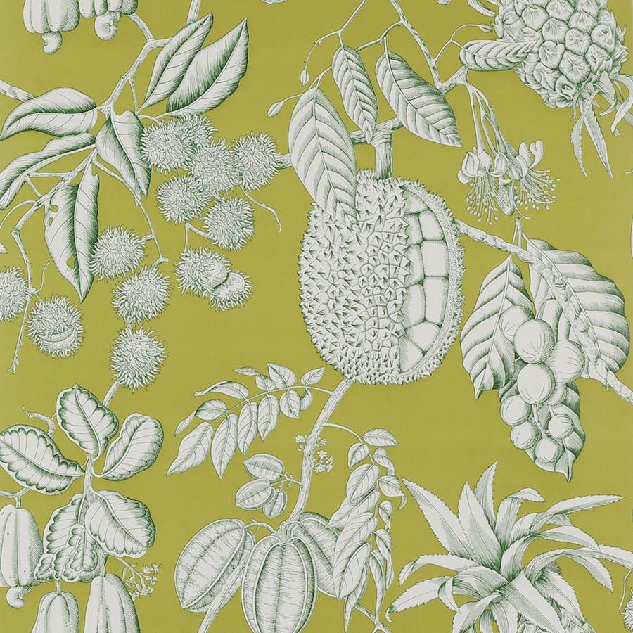Balangan Wallpaper - Green