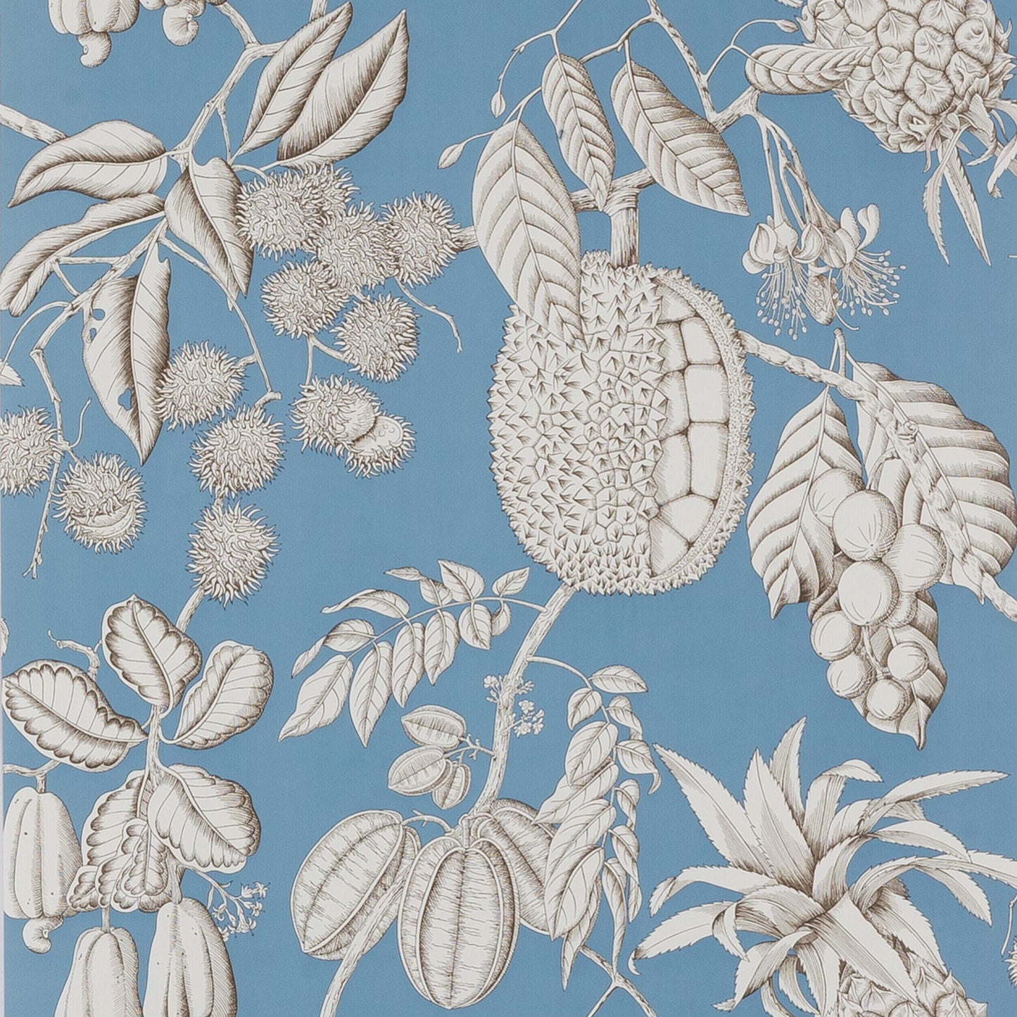 Balangan Wallpaper - Blue