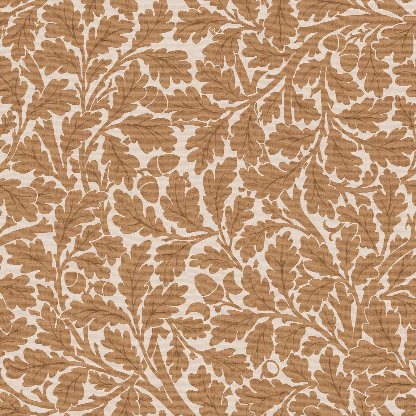 Quercus Wallpaper
