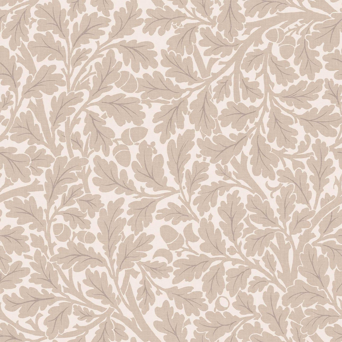 Quercus Wallpaper