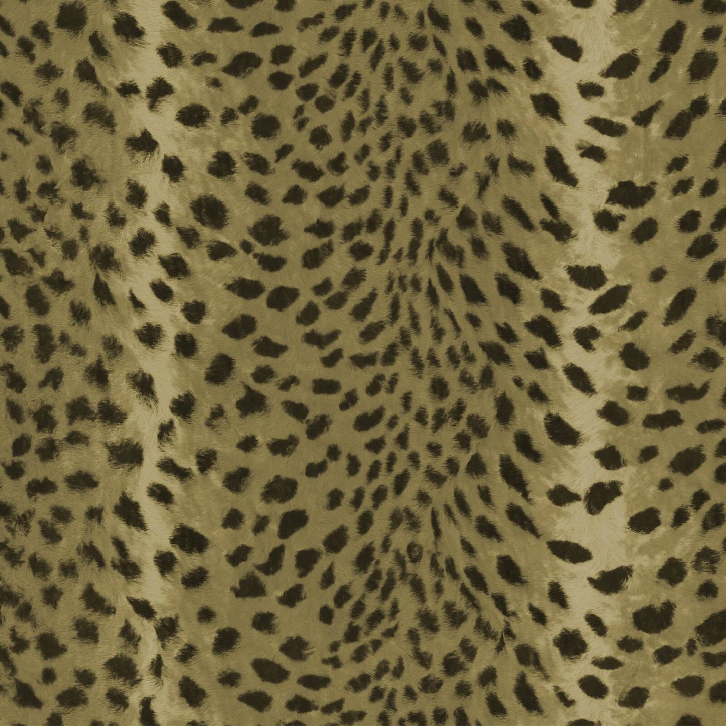 Savanna Wallpaper