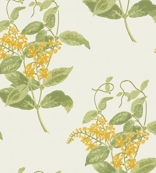 Madras Violet Wallpaper - Green