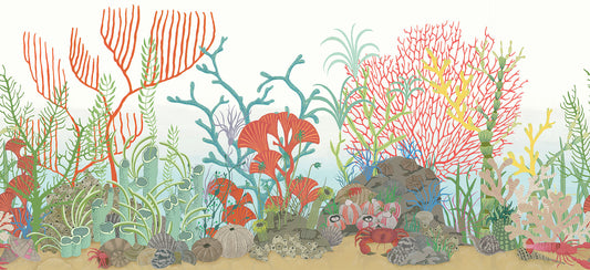 Archipelago Border Wallpaper - Multicolor - Cole & Son