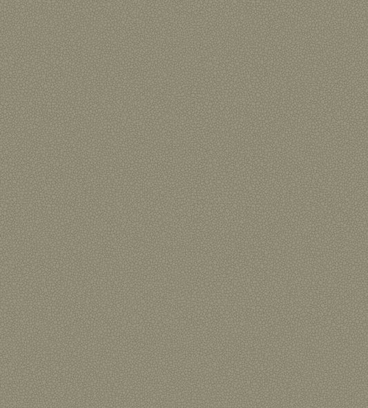 Pebble Wallpaper - Gray - Cole & Son
