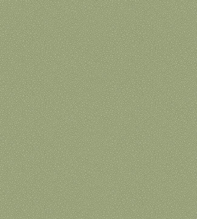 Pebble Wallpaper - Green