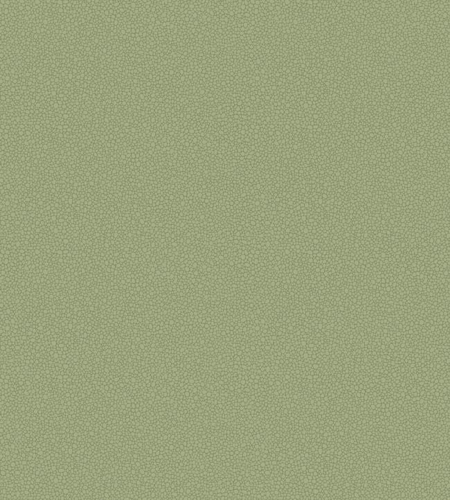 Pebble Wallpaper - Green - Cole & Son