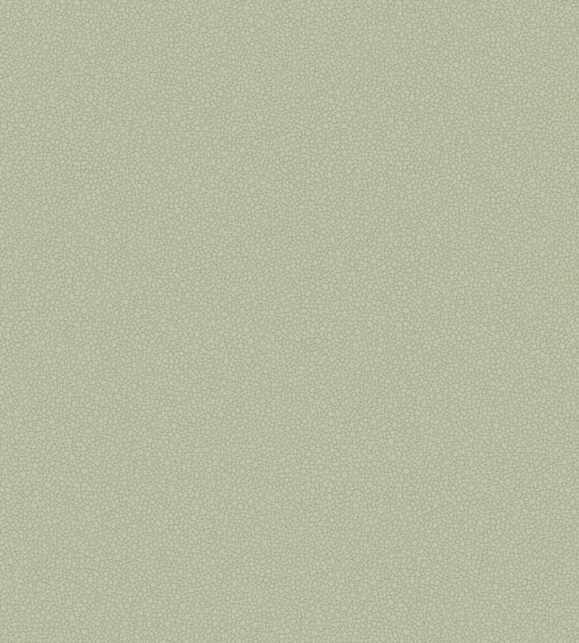 Pebble Wallpaper - Green