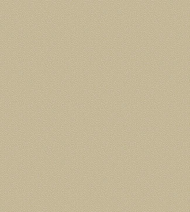 Coral Wallpaper - Sand - Cole & Son