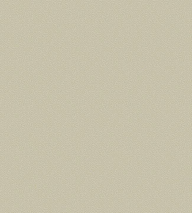 Coral Wallpaper - Gray - Cole & Son