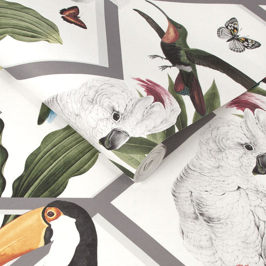 107603 - Perch Wallpaper - White - Graham & Brown