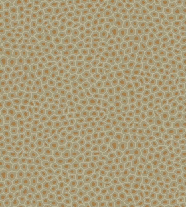 Senzo Spot Wallpaper - Sand - Cole & Son