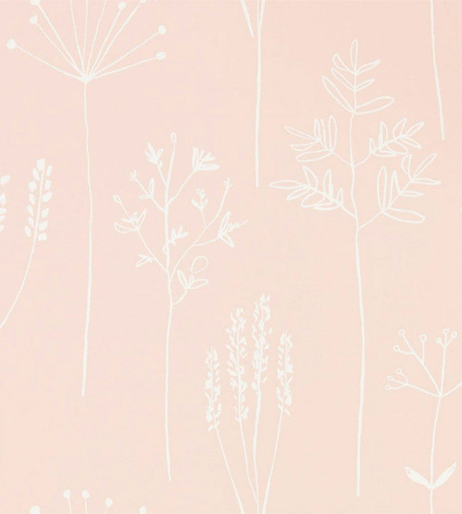 Stipa Wallpaper - Blush