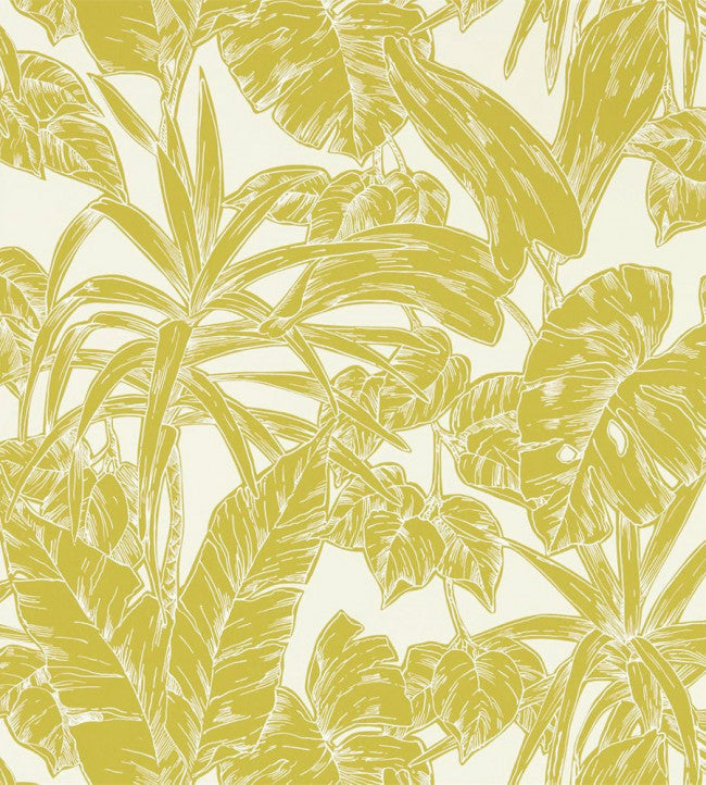 Parlour Palm Wallpaper - Citrus