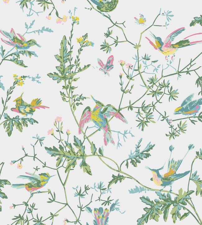 Hummingbirds Wallpaper - Green