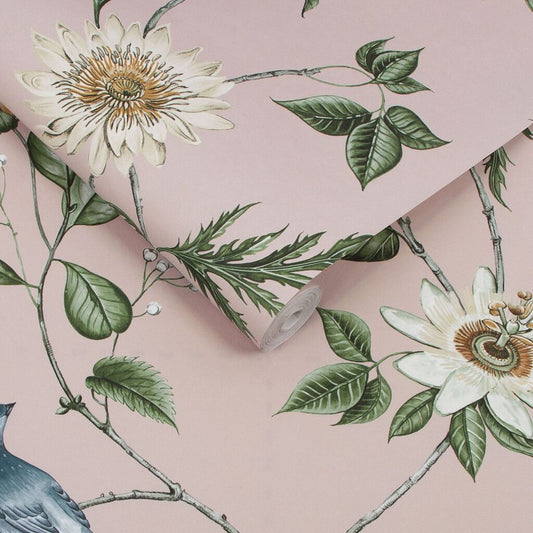 115045 - Nuit Wallpaper - Blush - Graham & Brown