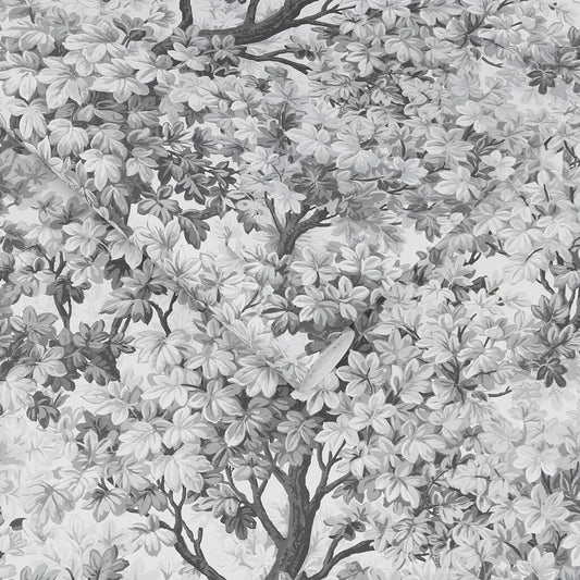 119661 - Coppice Wallpaper - Mono - Graham & Brown