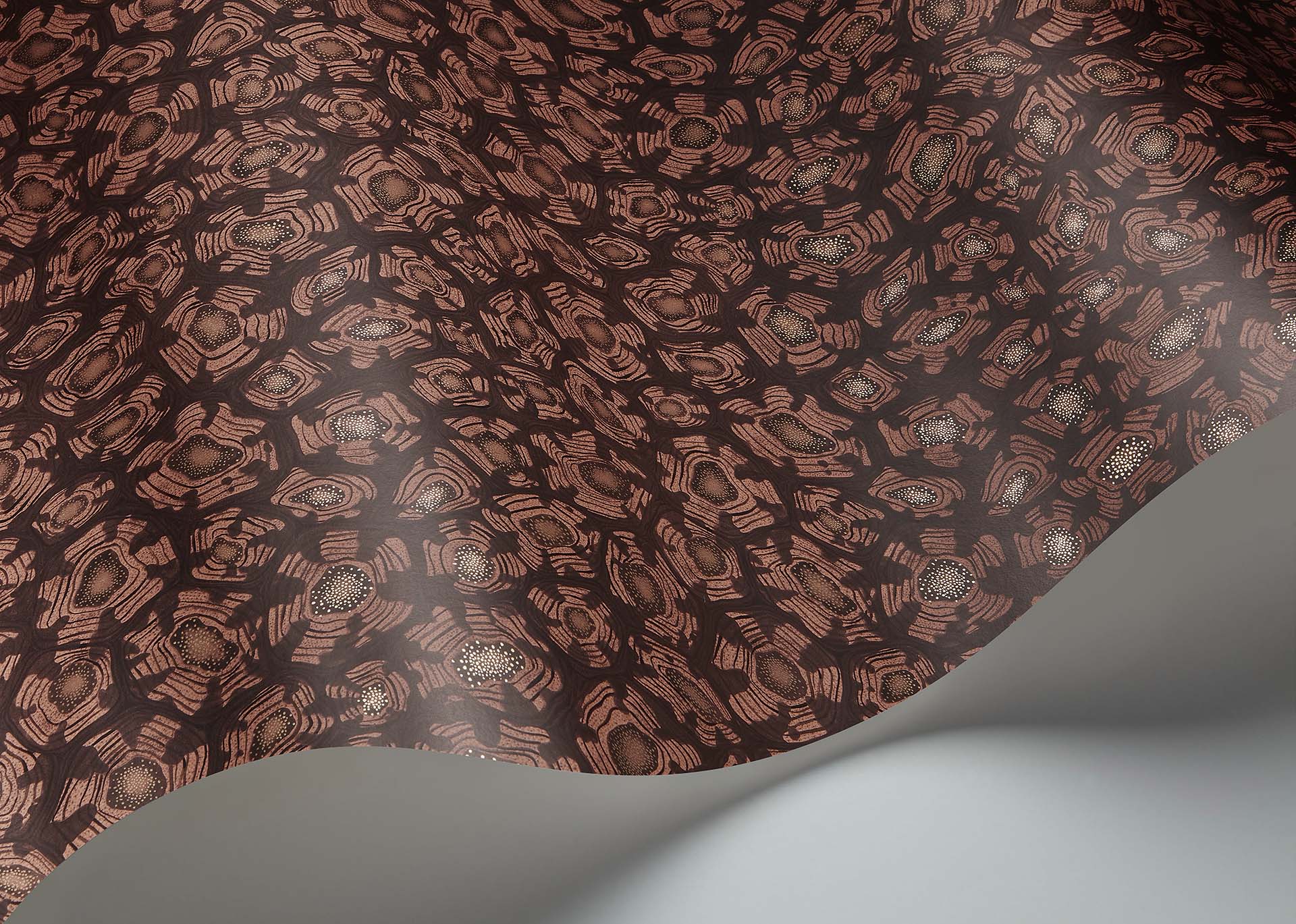 Savanna Shell Room Wallpaper - Brown