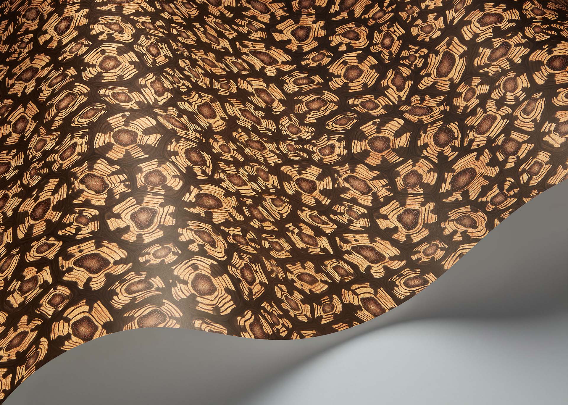 Savanna Shell Wallpaper - Gold - Cole & Son