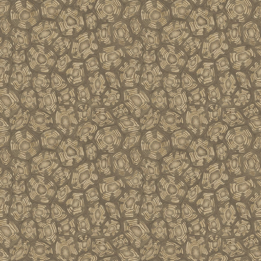Savanna Shell Wallpaper - Sand - Cole & Son
