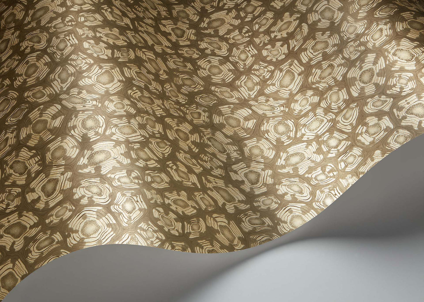 Savanna Shell Wallpaper - Sand - Cole & Son