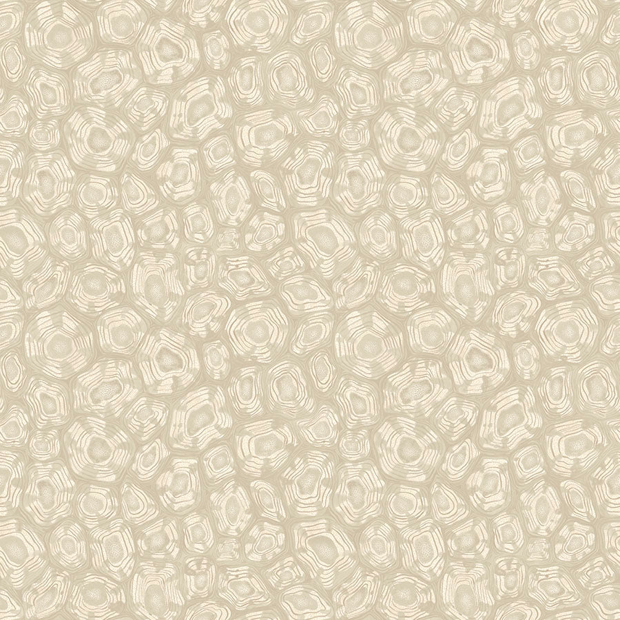 Savanna Shell Wallpaper - Cream