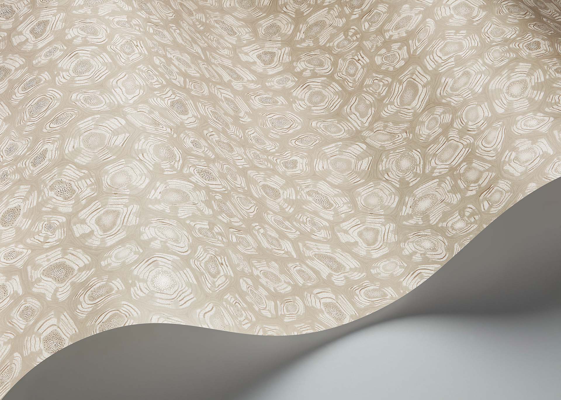 Savanna Shell Room Wallpaper - Cream