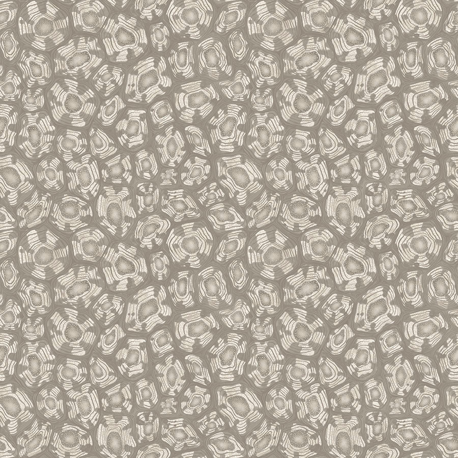 Savanna Shell Wallpaper - Gray