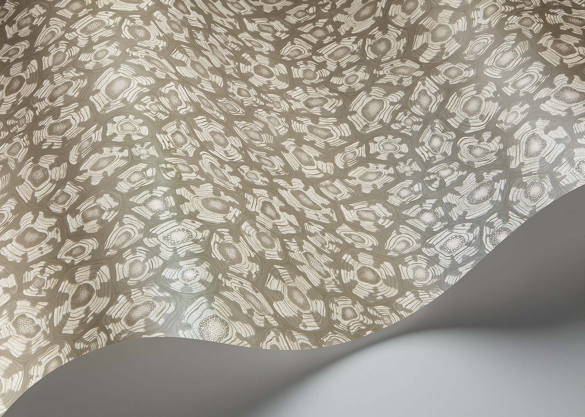 Savanna Shell Room Wallpaper - Gray