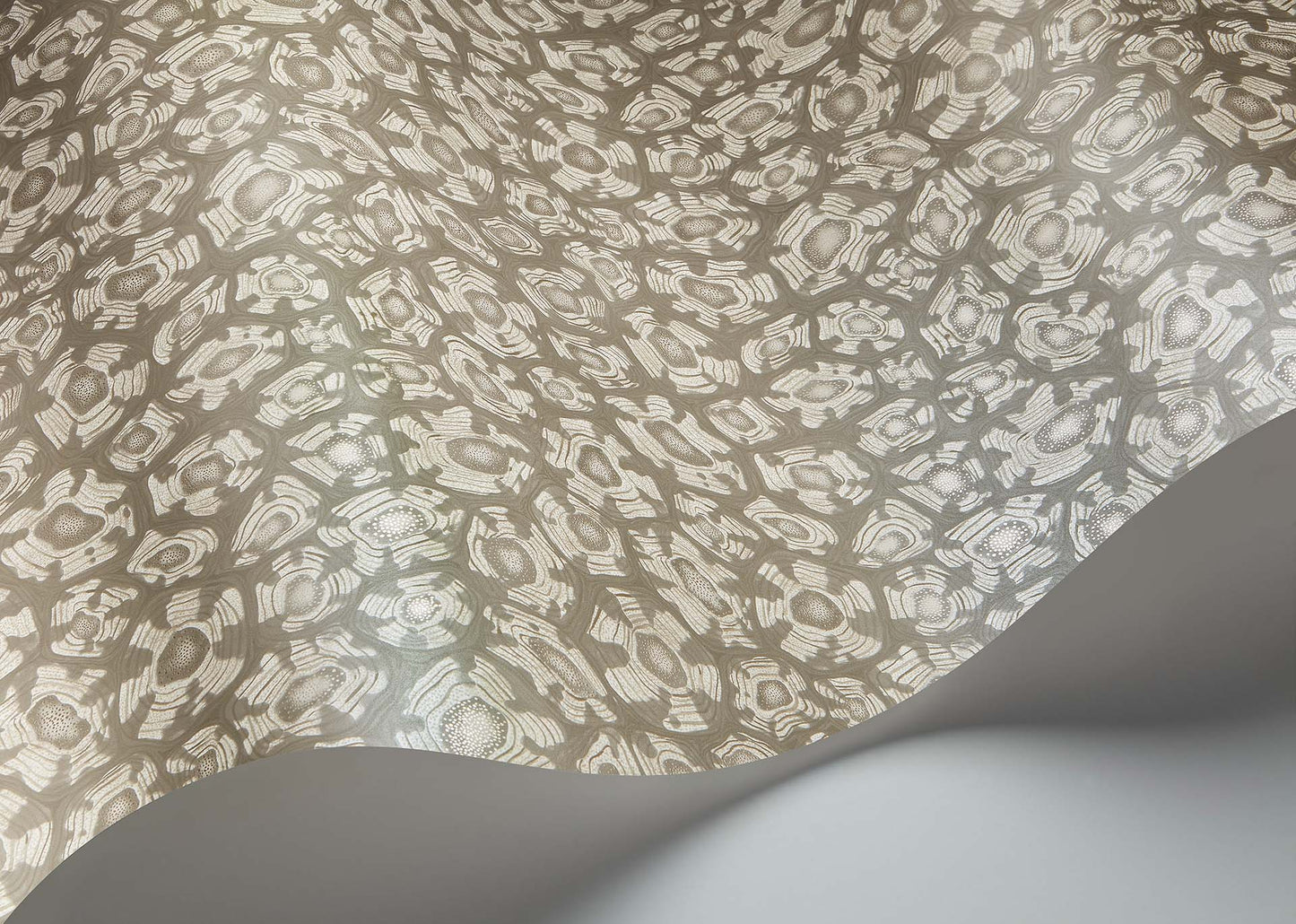 Savanna Shell Wallpaper - Gray - Cole & Son