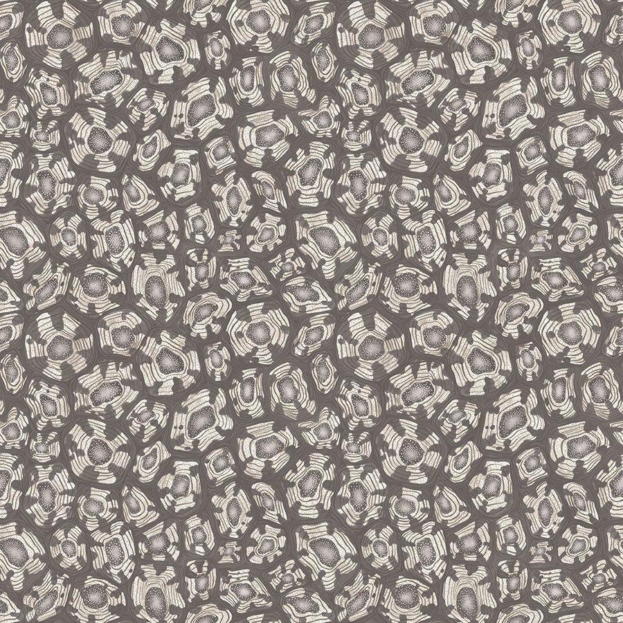 Savanna Shell Wallpaper - Black - Cole & Son