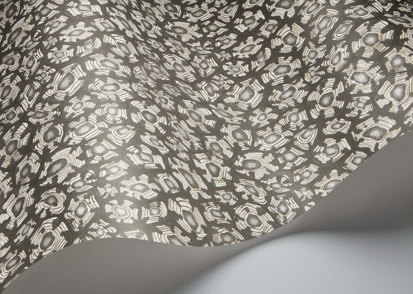Savanna Shell Wallpaper - Black - Cole & Son