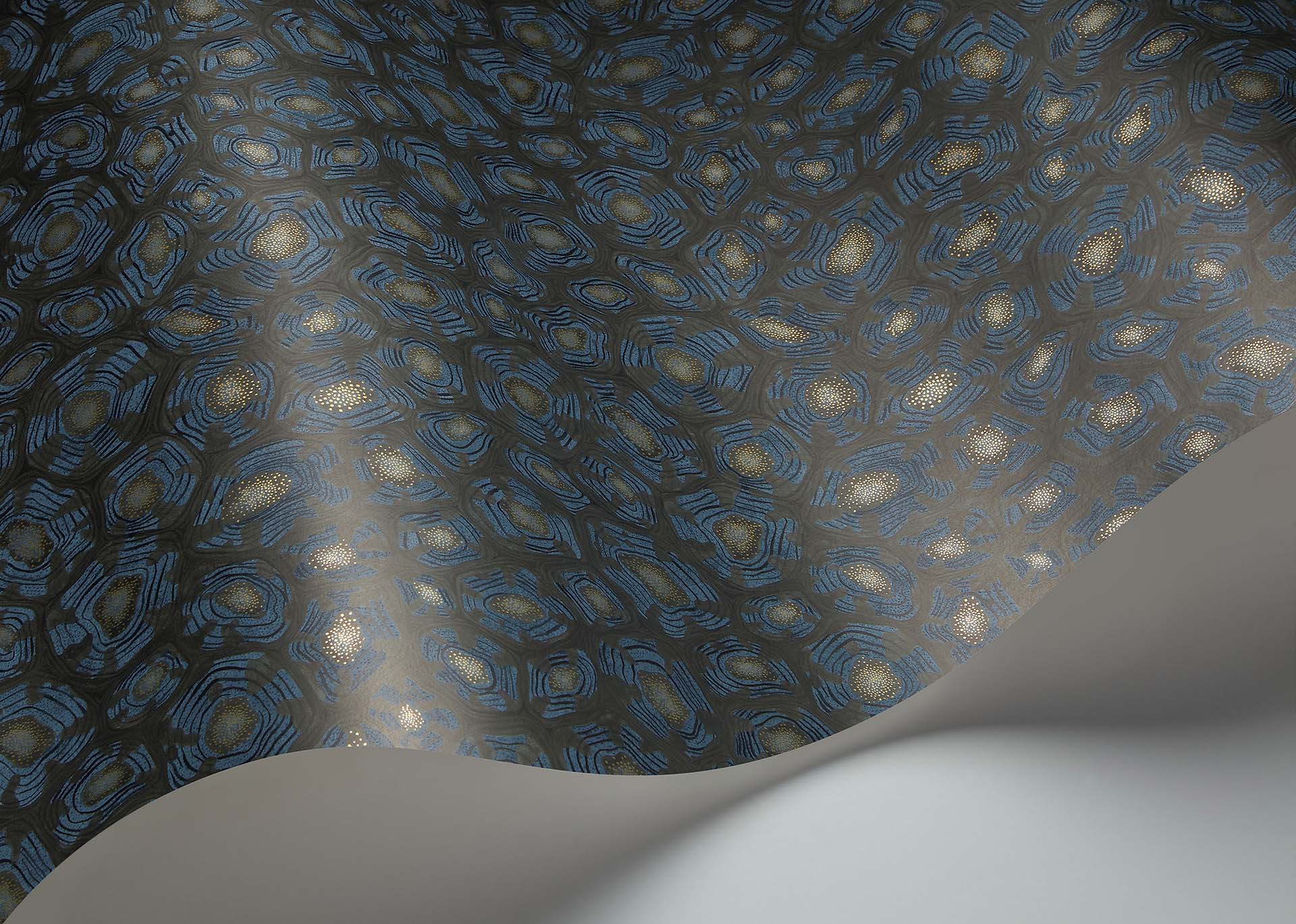 Savanna Shell Room Wallpaper - Blue
