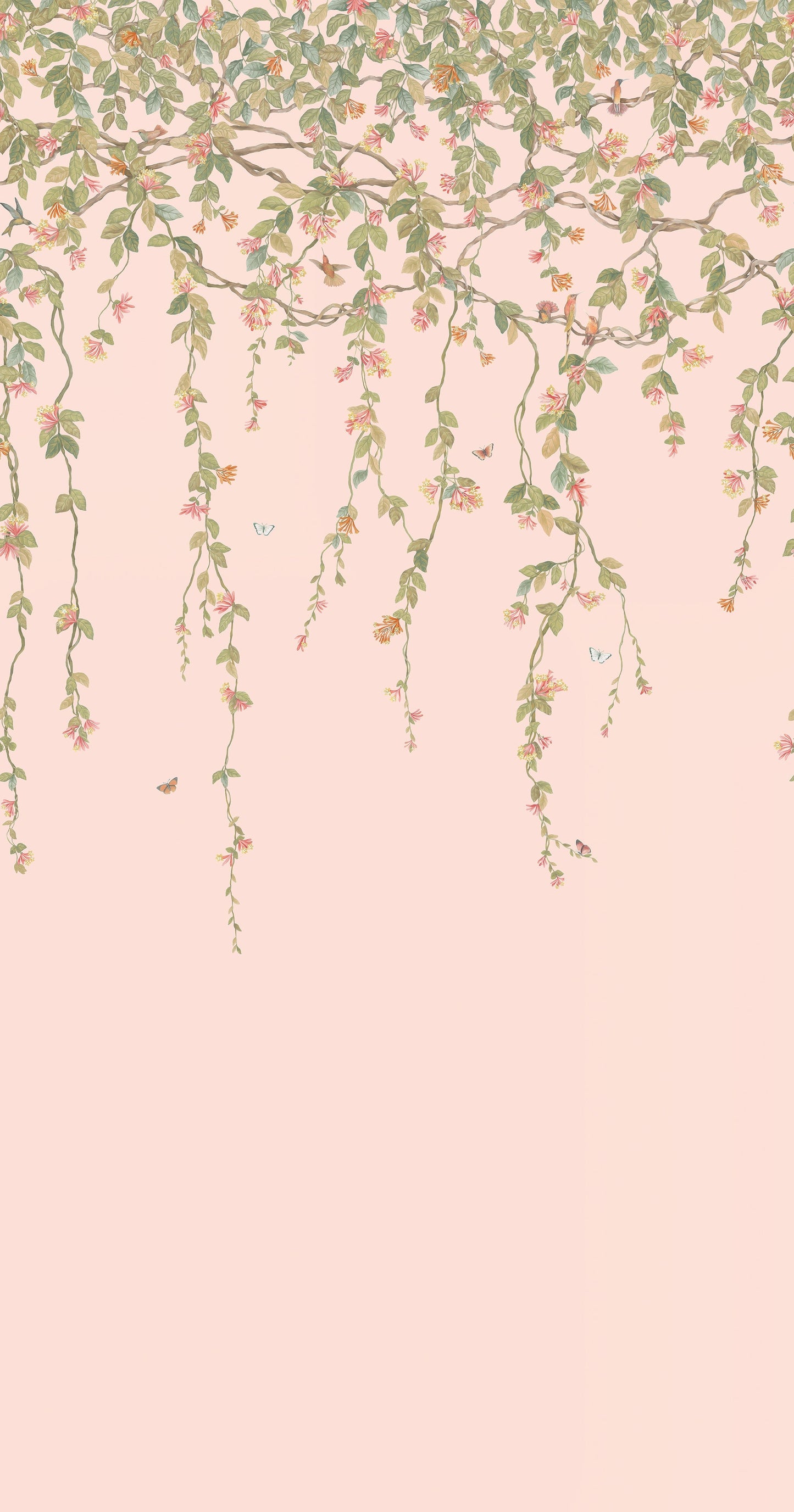 Hummingbirds Flora Wallpaper - Pink - Cole & Son