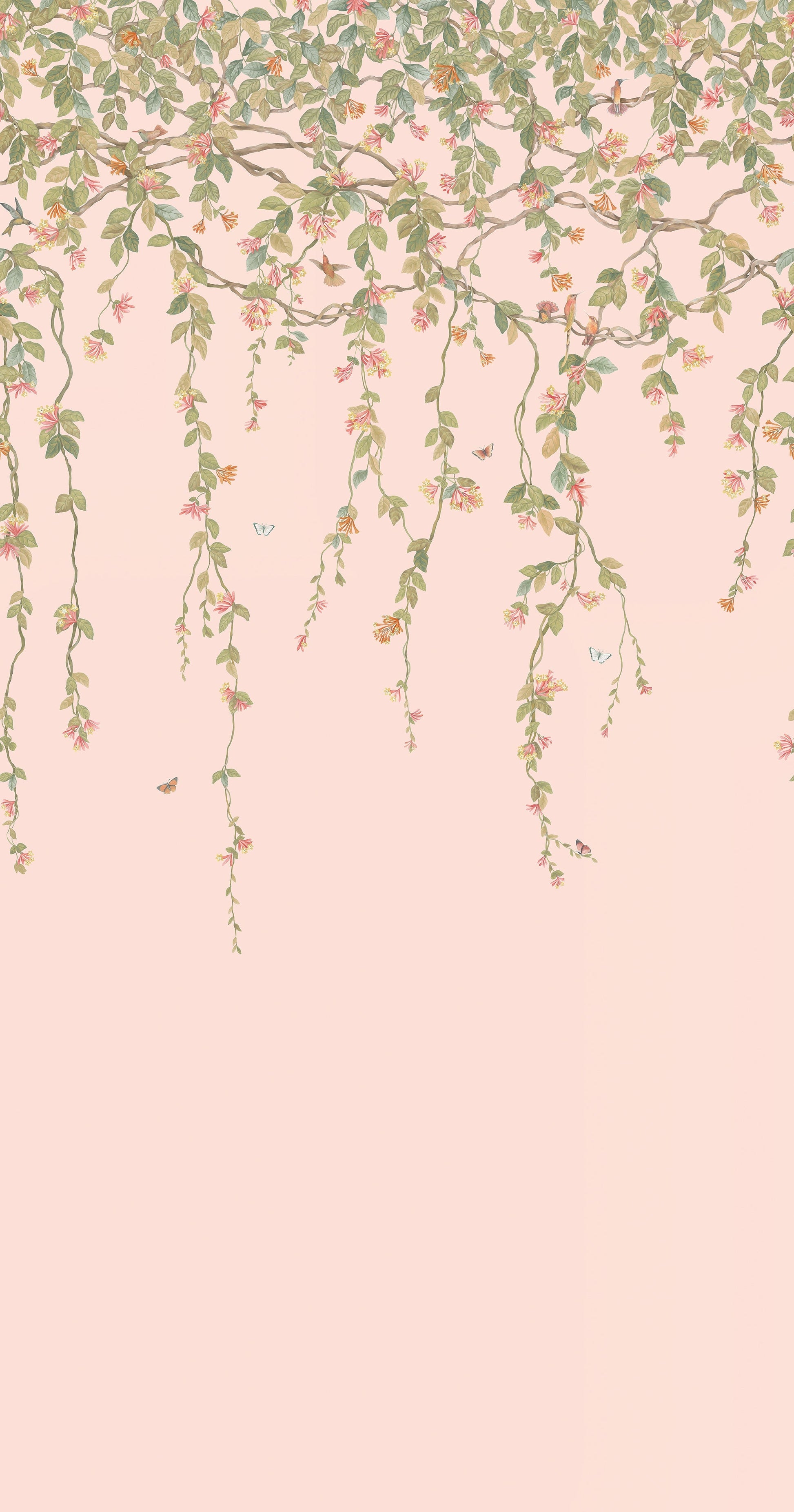 Hummingbirds Flora Wallpaper - Pink - Cole & Son