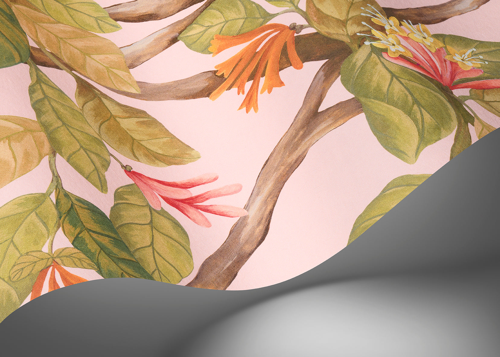 Hummingbirds Flora Wallpaper - Pink - Cole & Son
