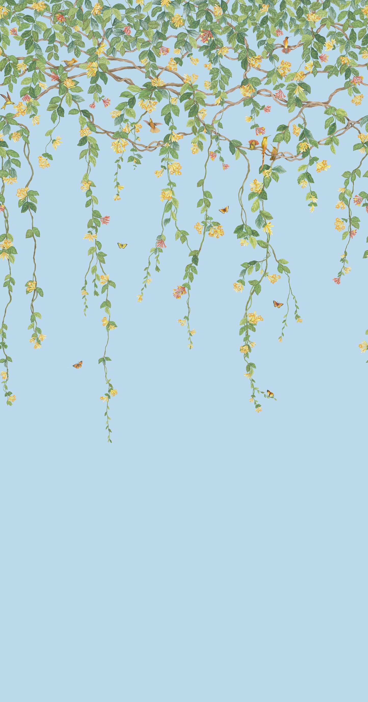 Hummingbirds Flora Wallpaper - Blue - Cole & Son