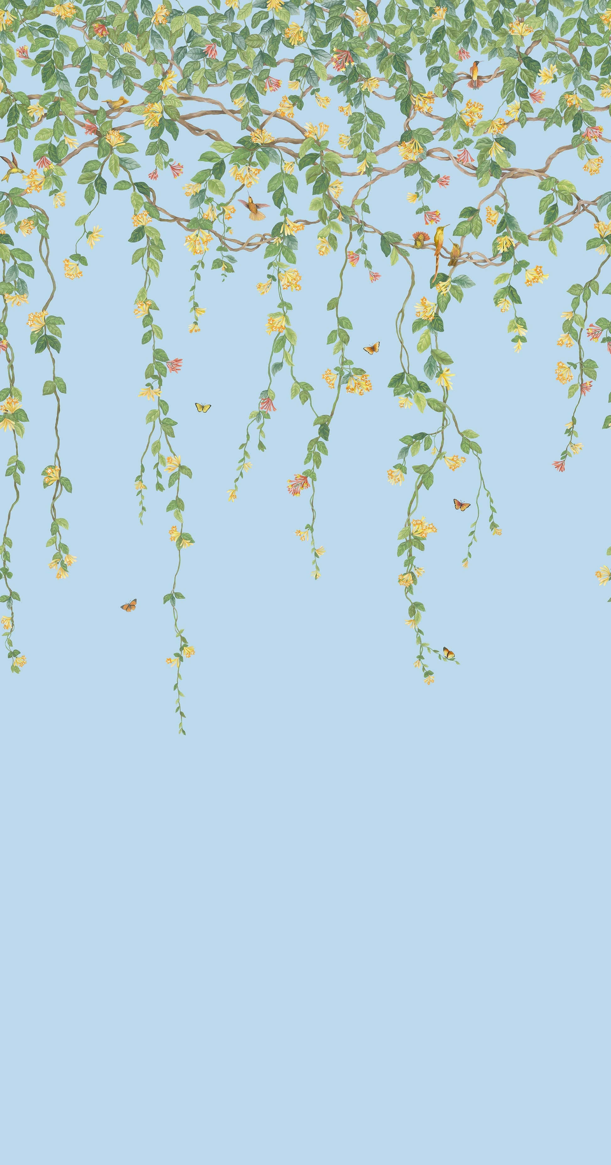 Hummingbirds Flora Wallpaper - Blue - Cole & Son