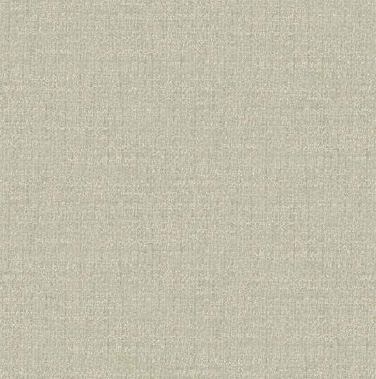 127905 - Albion Texture Wallpaper - Sage - Graham & Brown