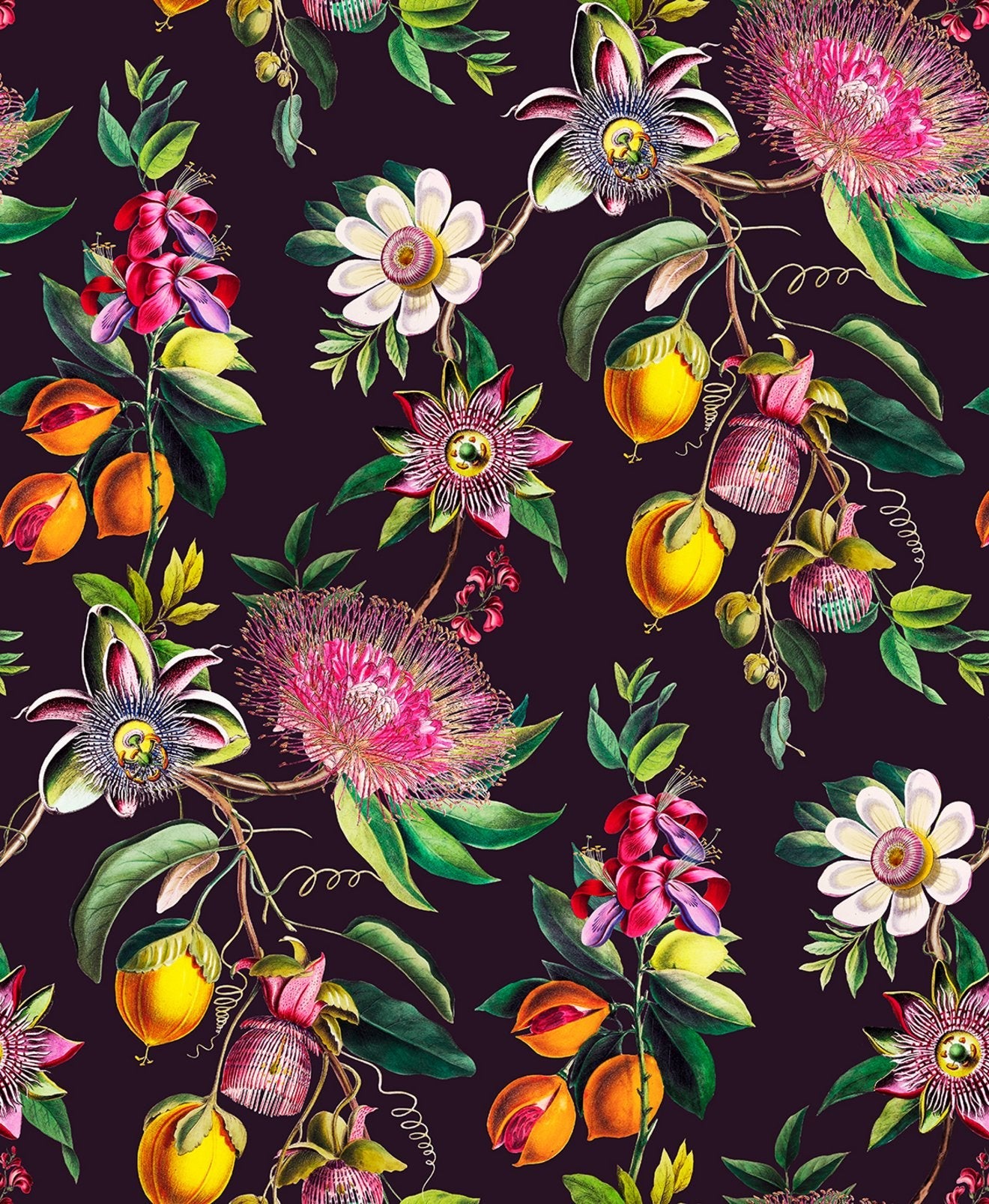 127920 - Physic Garden Wallpaper - Blackcurrant - Graham & Brown