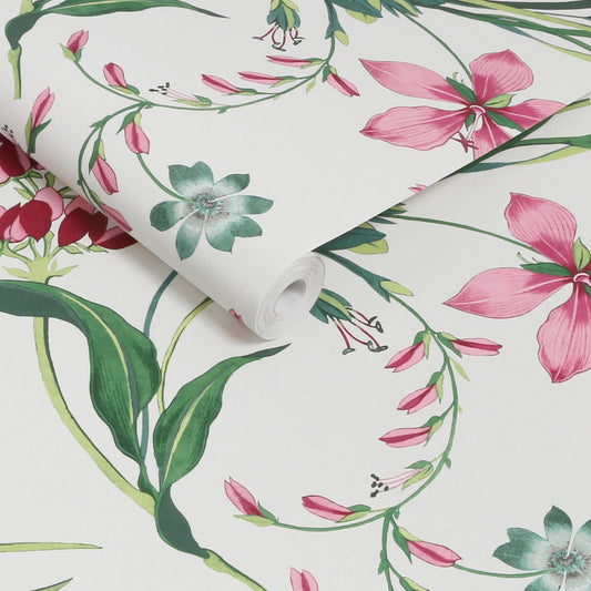 130296 - Botanists Scroll Wallpaper - Pink - Graham & Brown