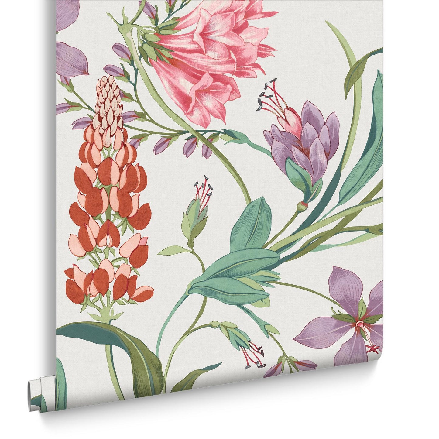 130297 - Botanists Scroll Wallpaper - Mauve - Graham & Brown