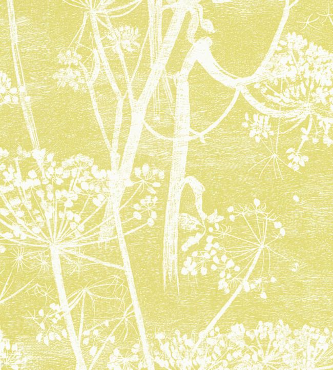 Cow Parsley Wallpaper - Green - Cole & Son