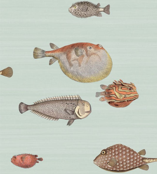Acquario Wallpaper - Teal - Cole & Son