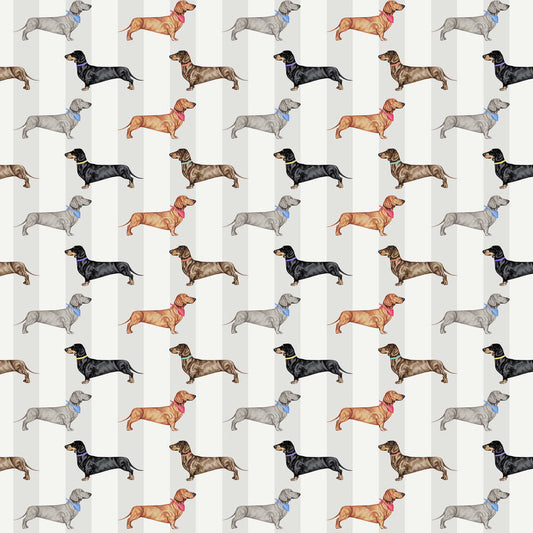 Dachshund Wallpaper - Natural - The Graduate Collection