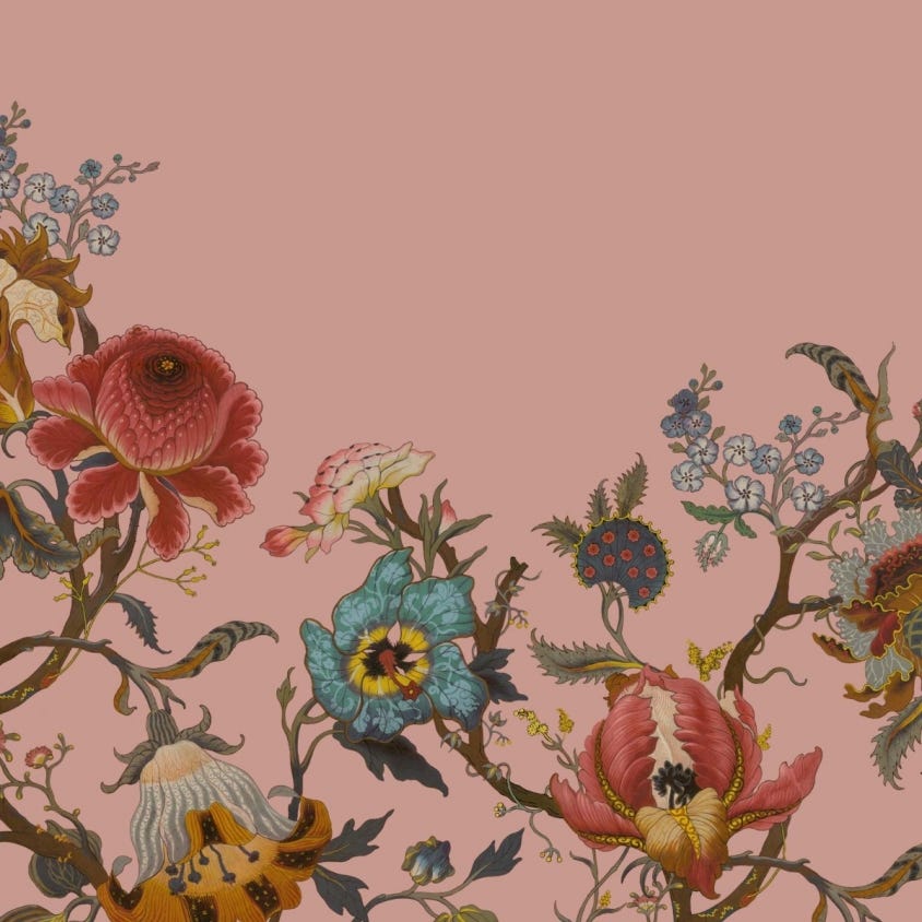 ARTEMIS Climbing Walls Wallpaper - Blush - House of Hackney