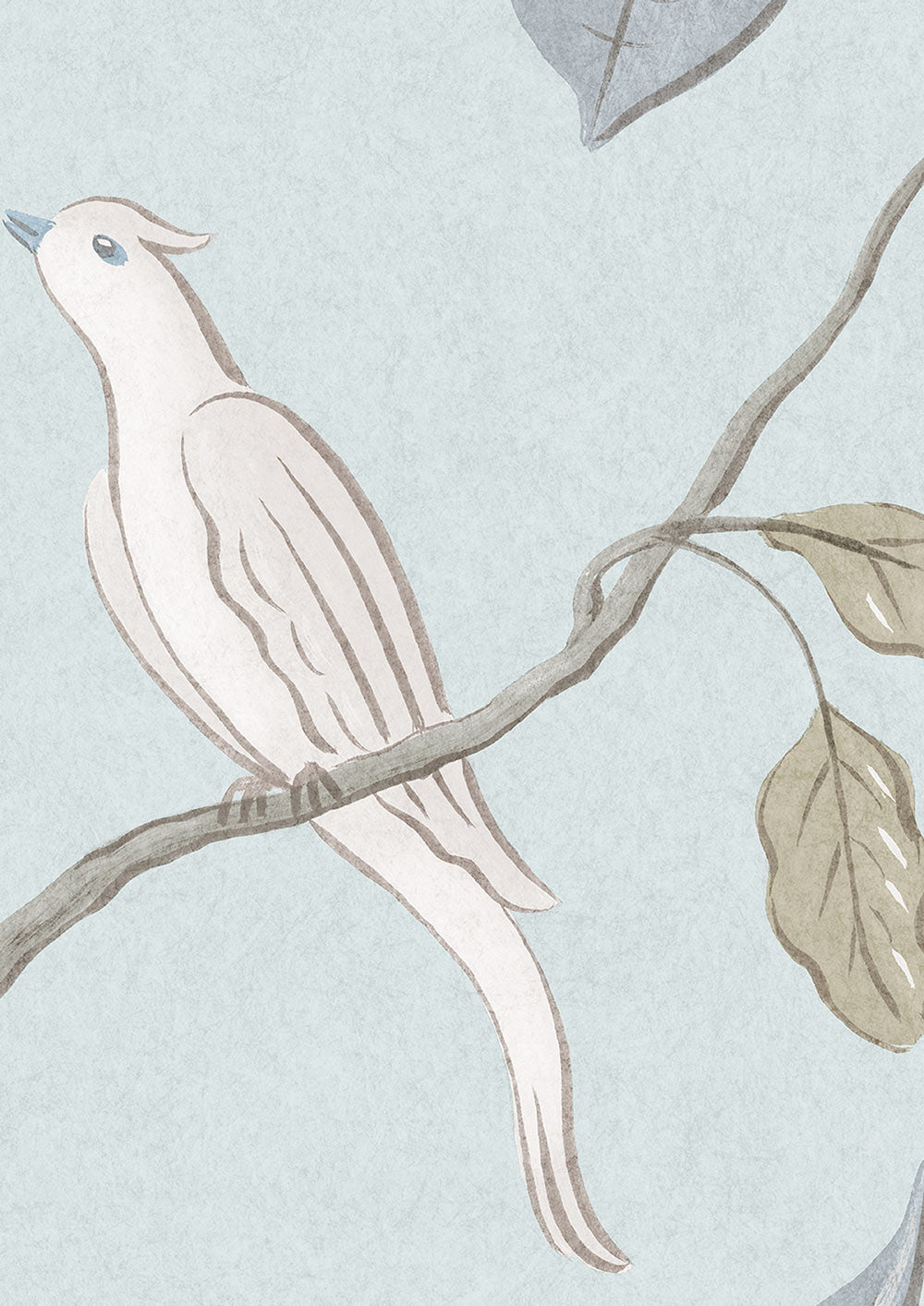 Adam's Eden Wallpaper - Snowbird